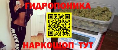 амф Будённовск