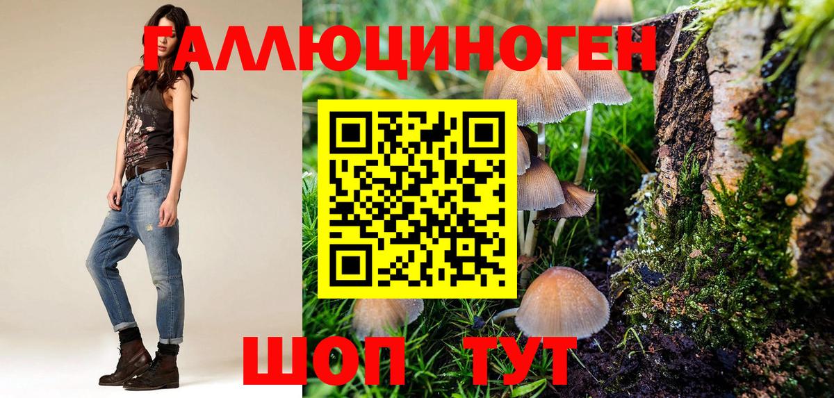 Галлюциногенные грибы MAGIC MUSHROOMS  Вход с VPN  Морозовск  Псилоцибиновые грибы Cubensis 